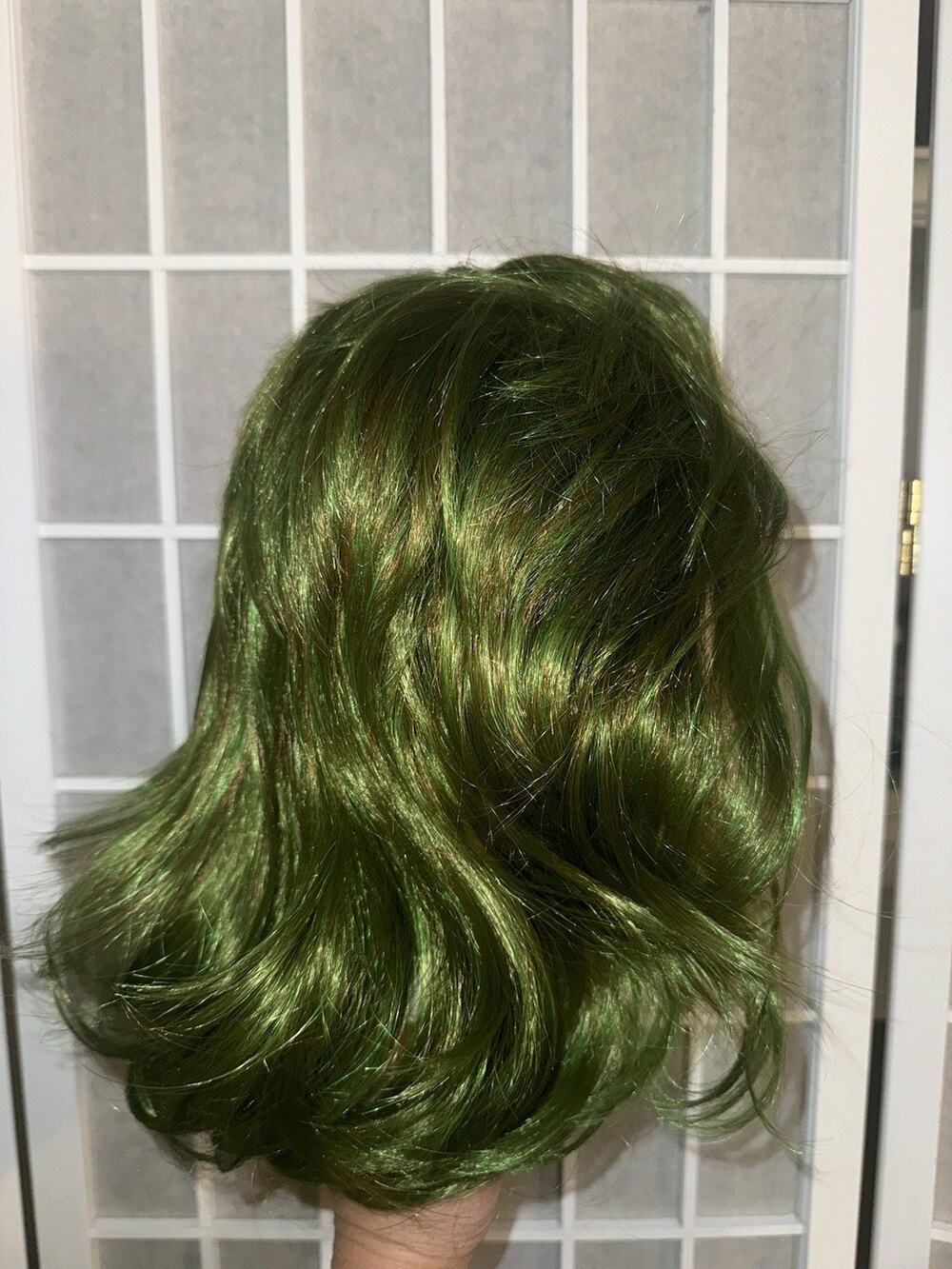 Green Joker Mad Clown Cosplay Adult Wig With Makeup Brand New Short Curly
